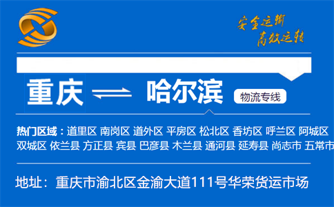 优质重庆到哈尔滨物流专线