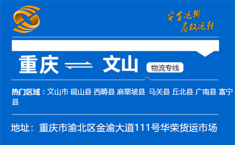 优质重庆到文山物流专线