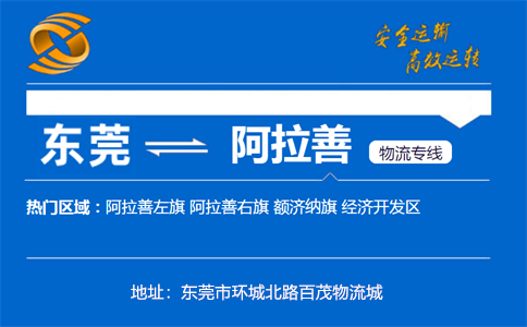 优质东莞到阿拉善物流专线