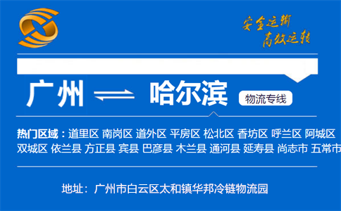 优质广州到哈尔滨物流专线