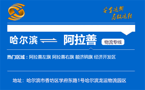 优质哈尔滨到阿拉善物流专线
