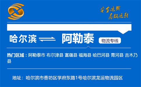 优质哈尔滨到阿勒泰物流专线