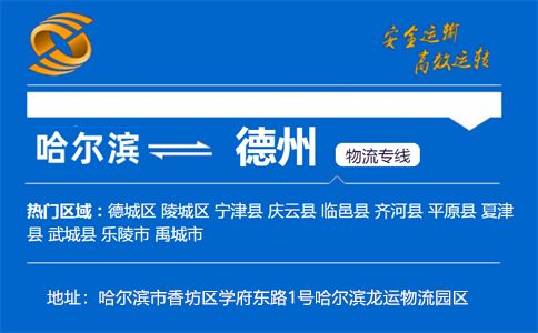 优质哈尔滨到德州物流专线