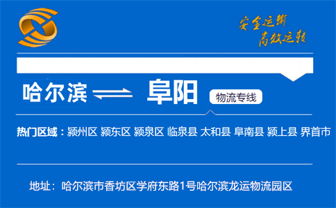 优质哈尔滨到阜阳物流专线
