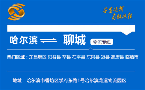 优质哈尔滨到聊城物流专线