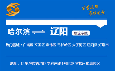 优质哈尔滨到辽阳物流专线