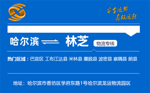 优质哈尔滨到林芝物流专线