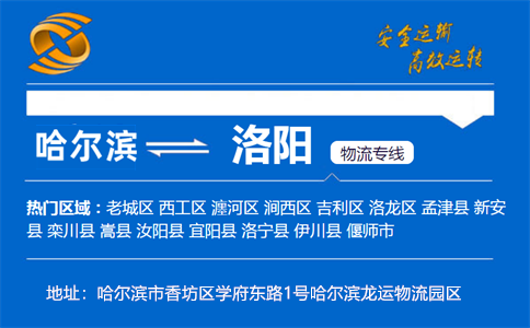优质哈尔滨到洛阳物流专线