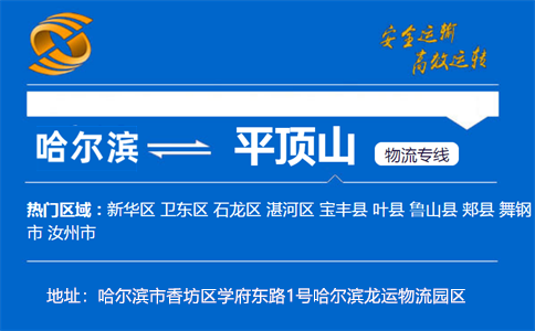 优质哈尔滨到平顶山物流专线