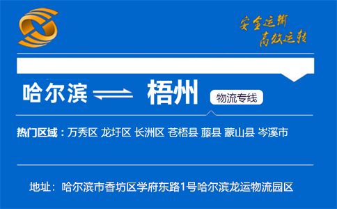 优质哈尔滨到梧州物流专线