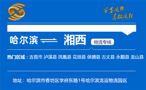 优质哈尔滨到湘西物流专线