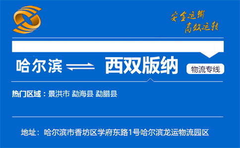 优质哈尔滨到西双版纳物流专线