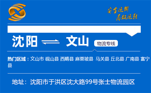 优质沈阳到文山物流专线