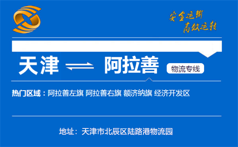 优质天津到阿拉善物流专线