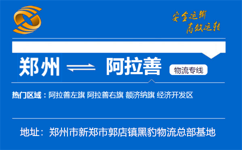 优质郑州到阿拉善物流专线